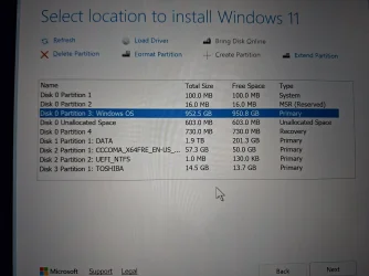 17668459242182069513066095784774.webp