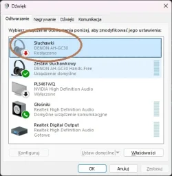 denon.webp