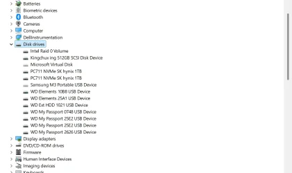 dm1.webp