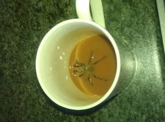 ecoffee-fail.webp