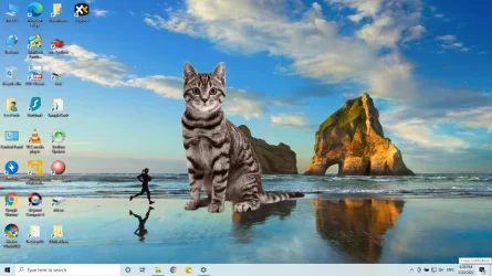 1768447846913.webp