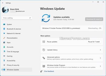 Download Windows 11 ISO Files for the Latest Build 22523