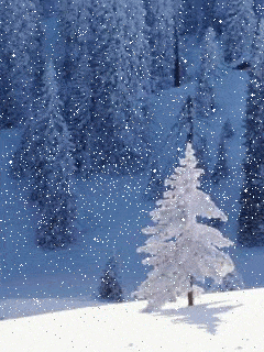 da21e8236812f3ddbf1f51449b2e602c.gif da21e8236812f3ddbf1f51449b2e602c.gif