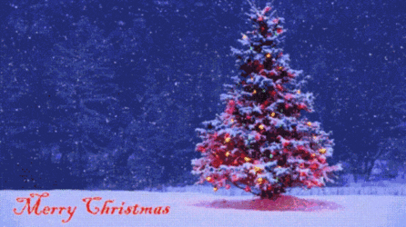 Xmas.gif Xmas.gif