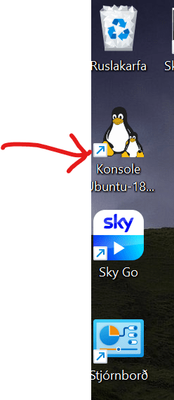 Skjámynd 2021-12-21 105826.png