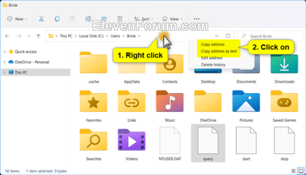 Copy_address_File_Explorer-1.png