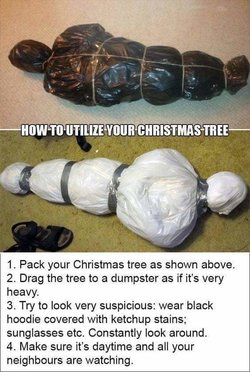 christmas tree disposal.jpeg
