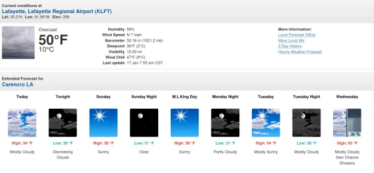 Screenshot from 2026-01-17 08-10-54.webp