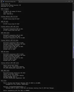Check2023UEFIVerbose.webp