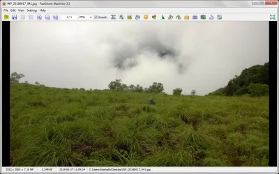 FastStone MaxView Screenshot.webp