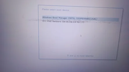 6314353269978893607_121.webp