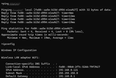 Ping results.webp