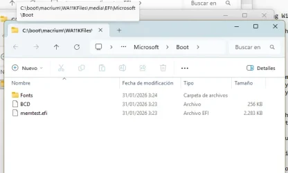 C-EFI-Microsoft-boot.webp