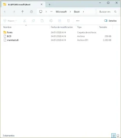 G-EFI-Microsoft-boot.webp