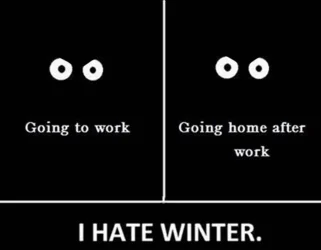 winter2.webp