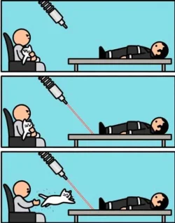 laser-torture-device-cat-chasing.webp
