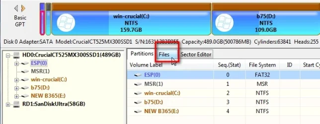 dg-files1.webp
