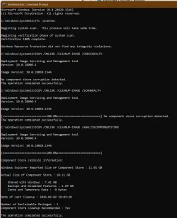 1770252882561.webp