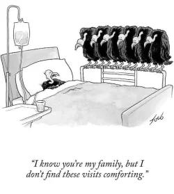 family-vultures-hospital-bed-visits-not-comforting.webp