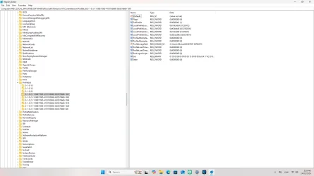 main profile.webp