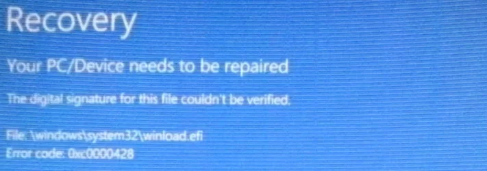 1771264578892.webp