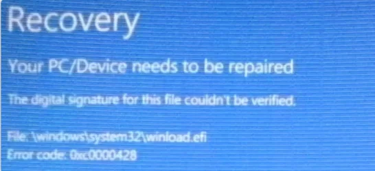1771288461695.webp