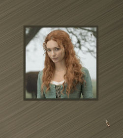 12428.gif 12428.gif