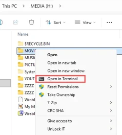 Image1.webp Image1.webp