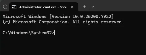 Image1.webp Image1.webp