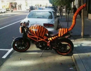 Screenshot 2025-09-18 at 12-21-56 tigerbike.jpg (JPEG Image 740 × 580 pixels) — Scaled (99%).webp