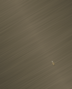 0008652.gif