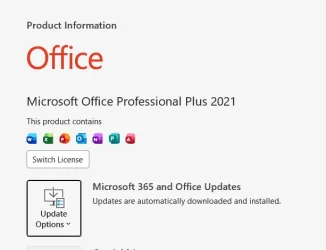 MS Copilot.webp