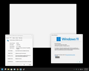 googlechrome-whiteblankwindow-win1123h2-nvidia-driver-v817119642.webp