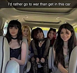 joke_ 86.webp