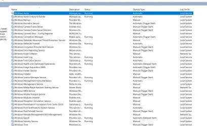 Services8.webp