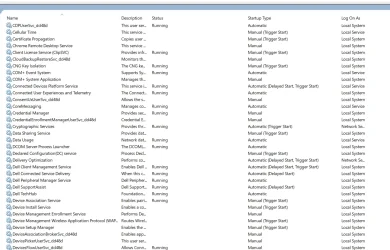Services1.webp
