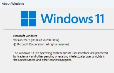 Screen Shot 03-10-26 at 08.02 PM.webp