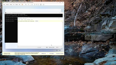 1.webp