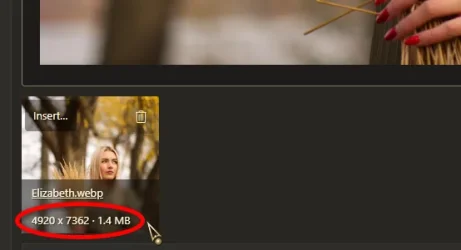 12815.webp 12815.webp