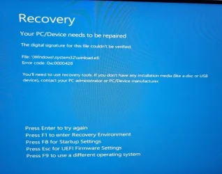 Recovery.webp Recovery.webp