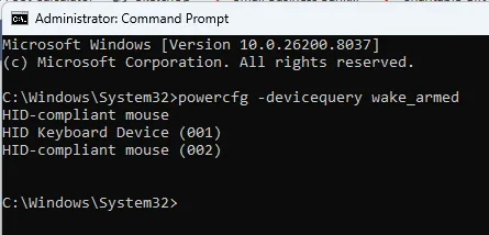 1773961984168.webp 1773961984168.webp
