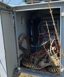Your Typical First Day Of Your Job As The IT Guy.webp