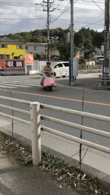 gh1.gif