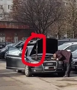 meanwhile-in-russia.webp