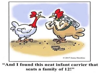 chickcarrier.webp