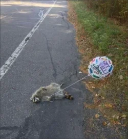 get well soon.webp