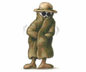FlasherSkeletonGIF.gif