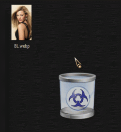 12986.gif 12986.gif