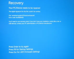 1775323901468.webp