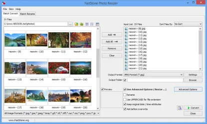 FastStone Photo Resizer Screenshot.webp